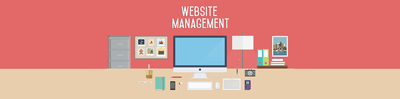 WEBSITE MANAGEMENT Image